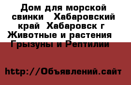 Дом для морской свинки - Хабаровский край, Хабаровск г. Животные и растения » Грызуны и Рептилии   